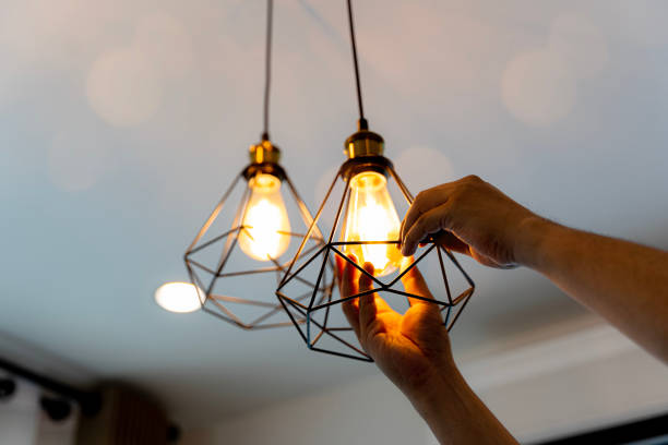 Best Electrical System Inspection  in Le Center, MN