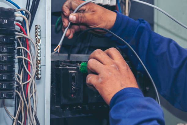 Best Electrical System Inspection  in Le Center, MN