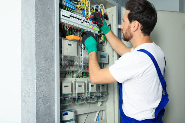 Best Residential Electrician Services  in Le Center, MN